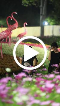 BIB:  <button type="button" onclick="openModal(27589883)" class="btn btn-primary btn-sm float-right" data-toggle="modal" data-target=".modal-high-quality">
                <i class="fa fa-download"></i> Download
                </button>